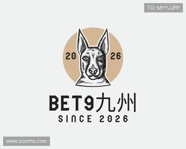 解读bet9九州